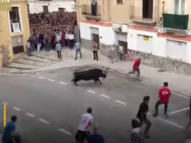 На фестивале в Испании бык поднял на рога человека 
